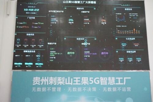 山王果：推进数字化转型 为产业加装“助推器”(图2)