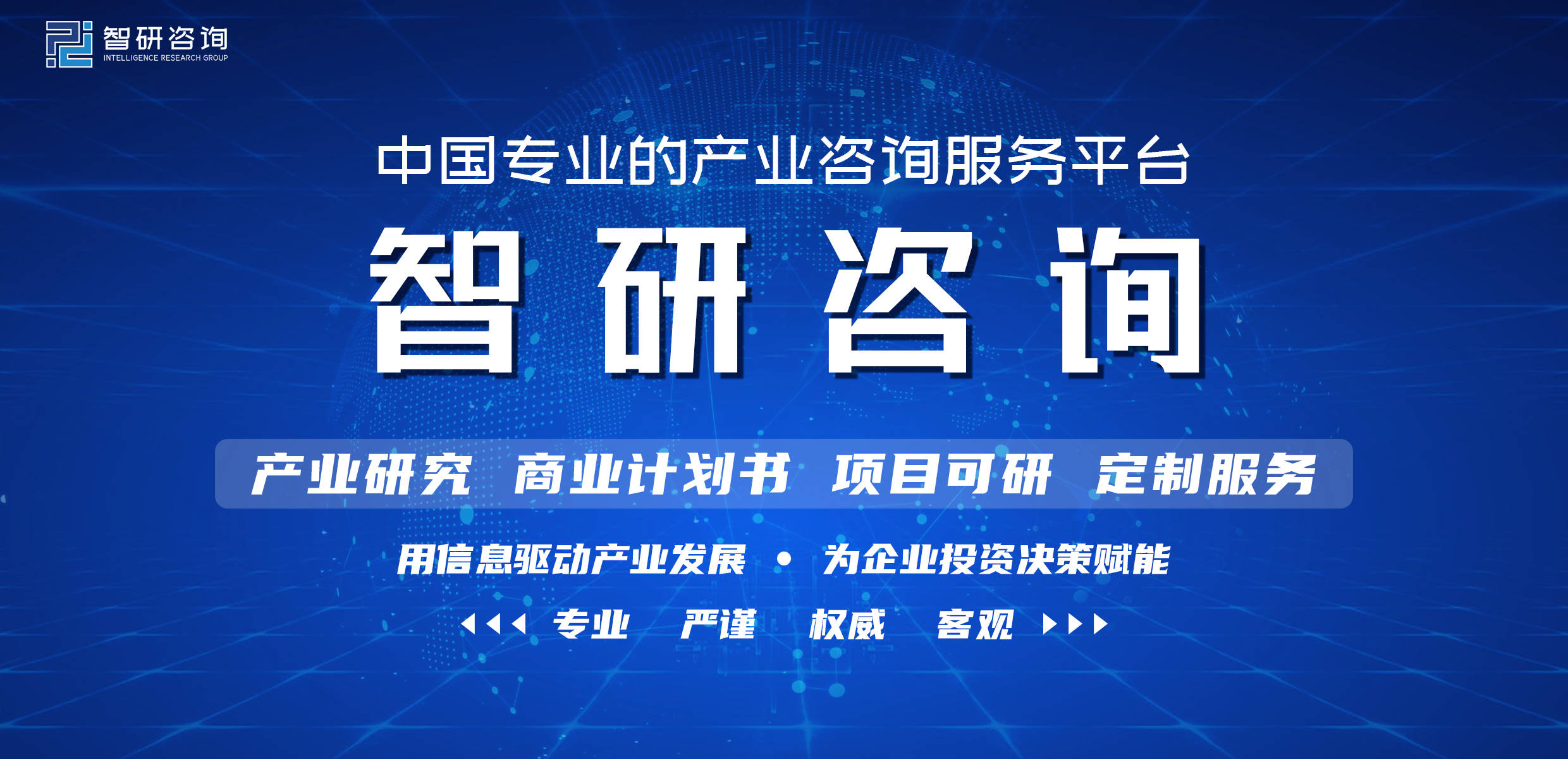 2022-2028年中国智能仪表行业市场竞争态势及发展趋向分