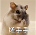 集合竞价散户也能抓涨停？！后悔自己知道晚了！